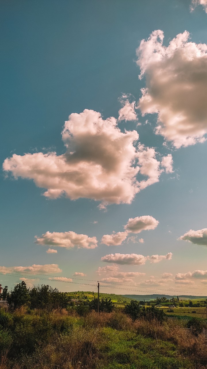 Sky