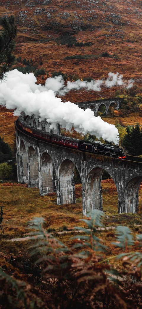 train