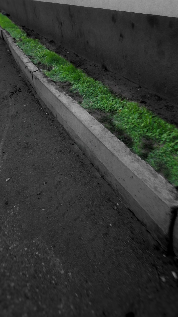 трава