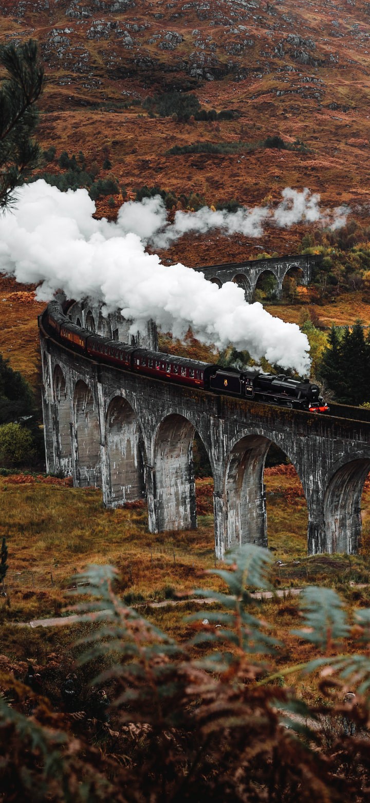 train