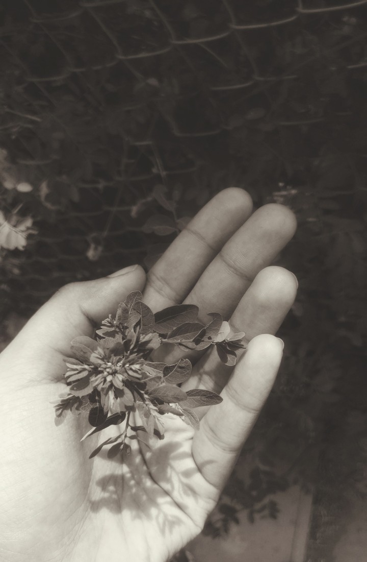 without colours...world would still be beautiful .