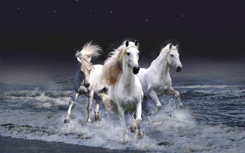 тапети mane, Livestock
