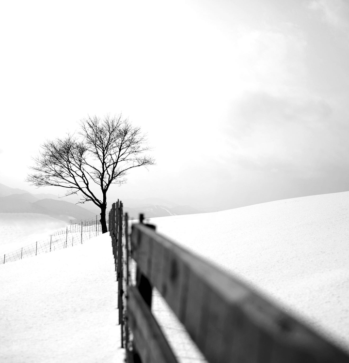 겨울