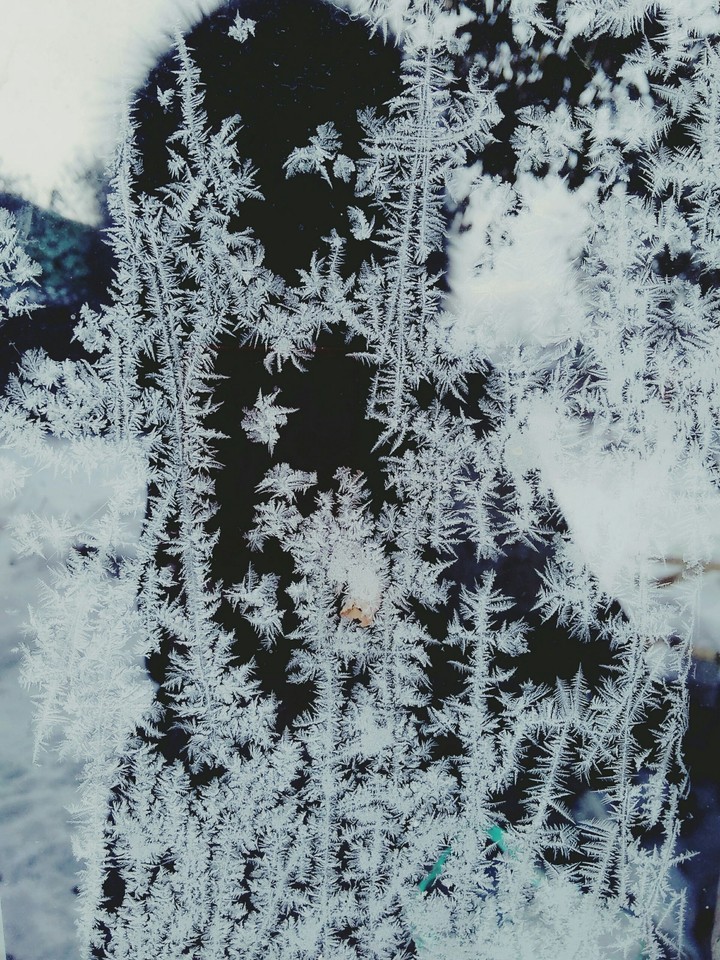 frost in November