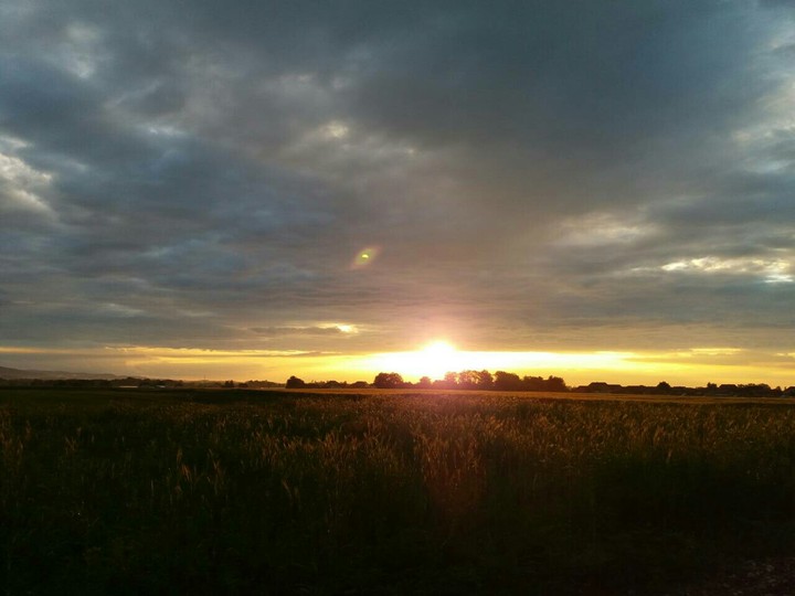 Sunset