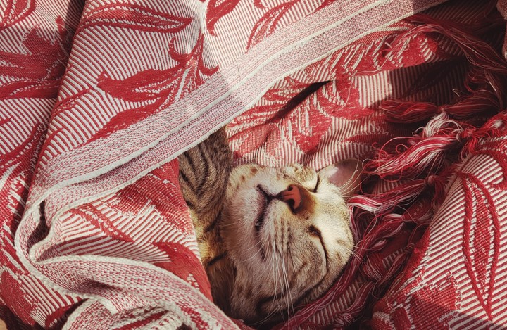 he is always sleepy :-D