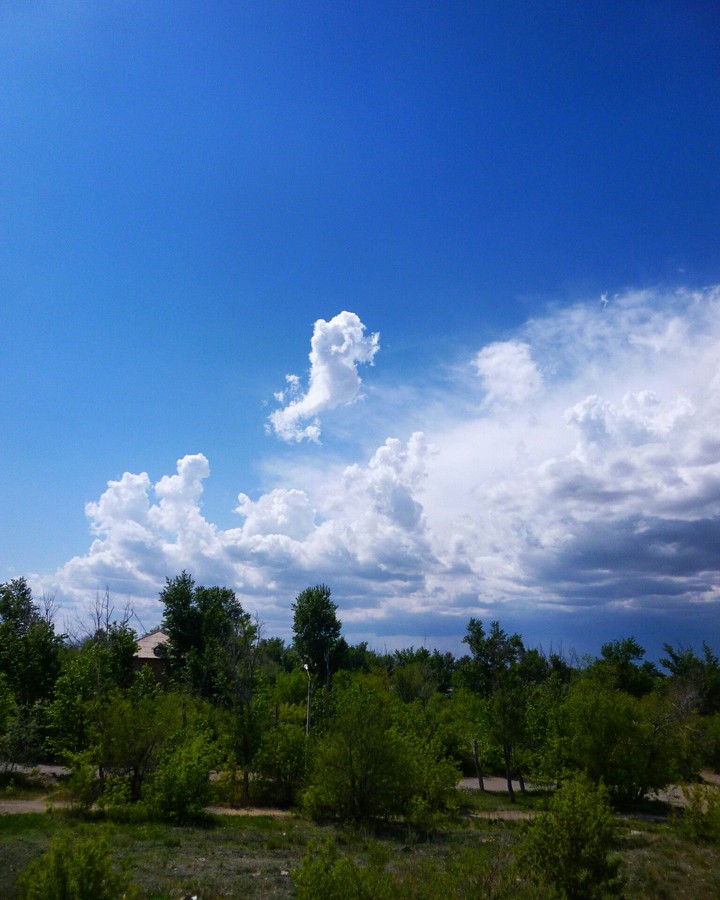 Wonderful Sky