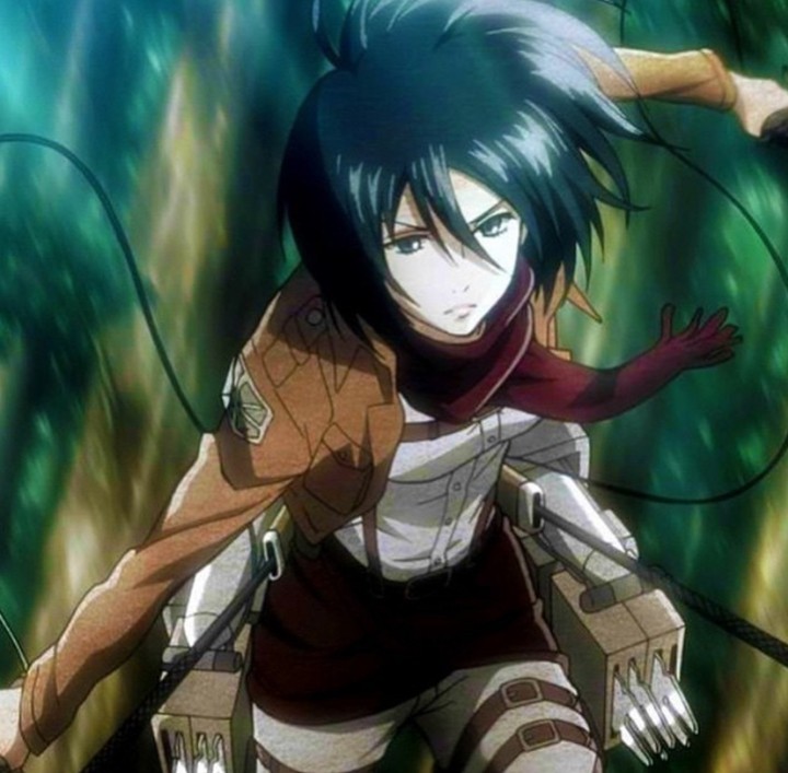 ATTACK ON TITAN