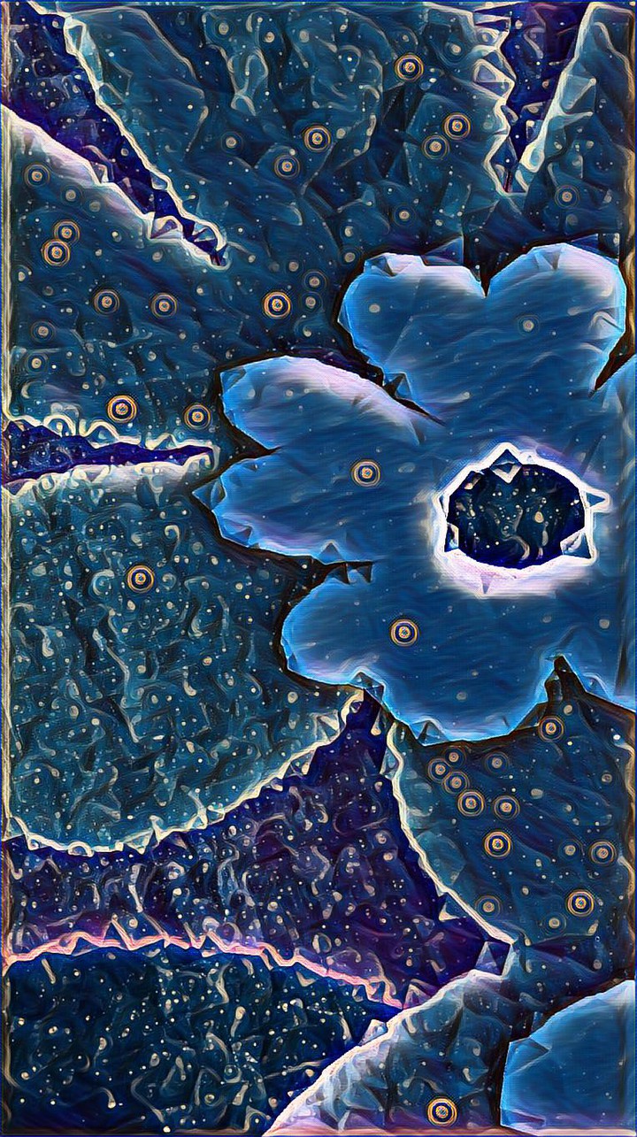 Midnight flower