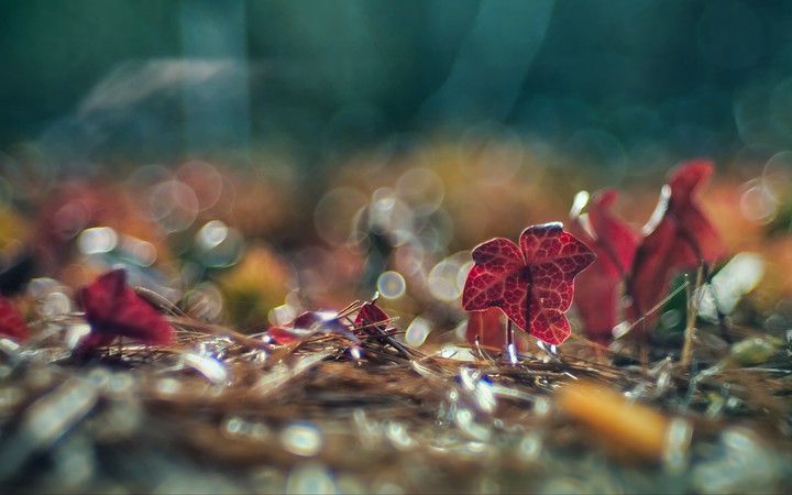 lovely picture...