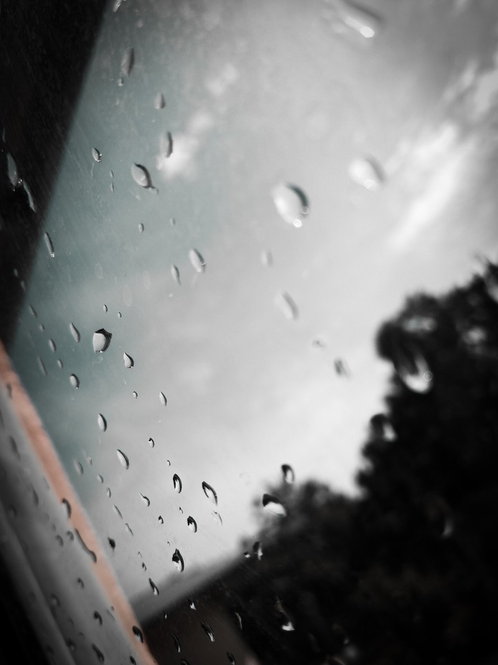 GRAY WINDOW