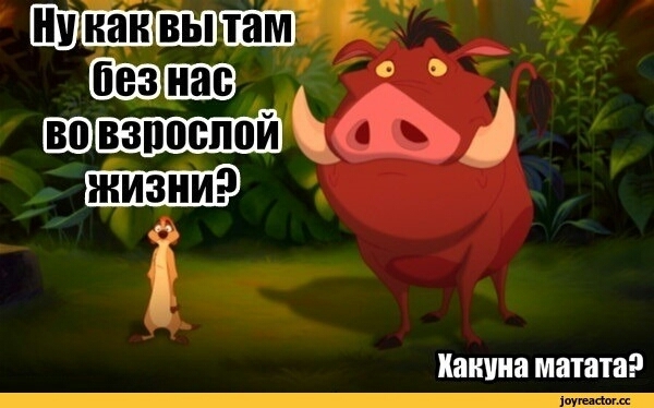 Ну как вы там без нас во взрослой жизни?