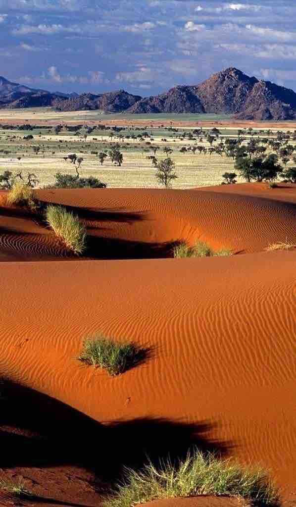 Sahara