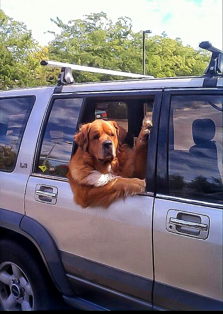 Come on Man Let's ROLL