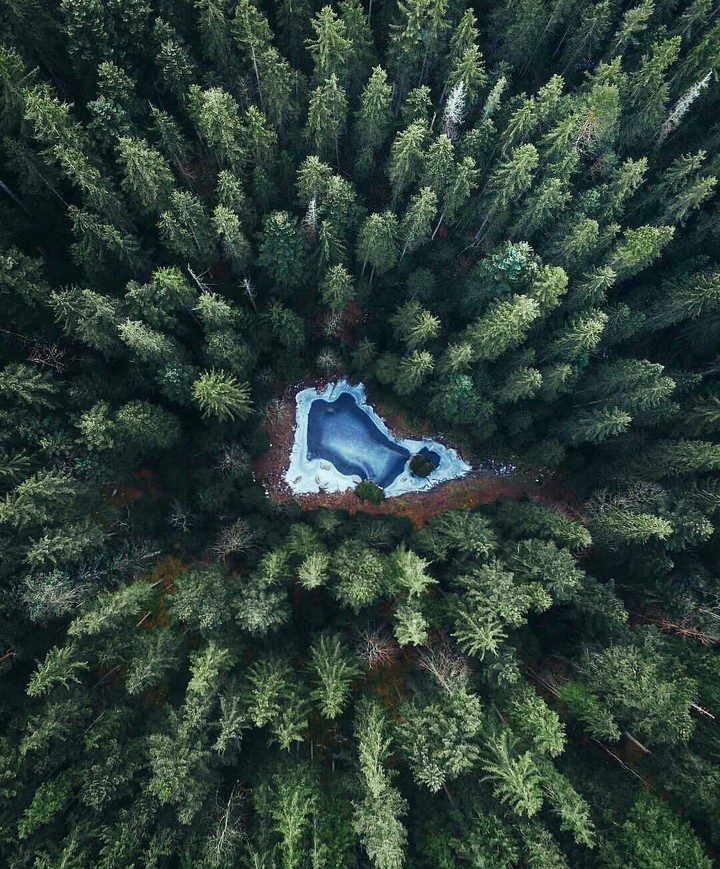 lake in the middle of the forest
