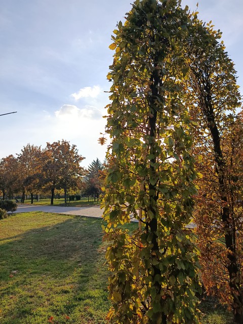 Осінь в Запоріжжі