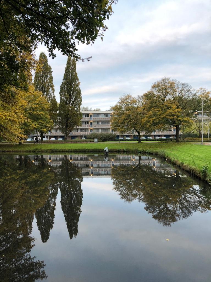 park at Amsterdam...