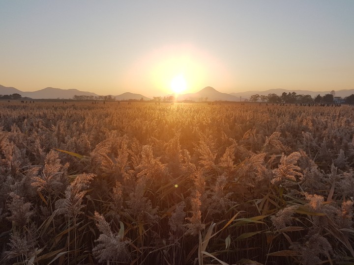 sunset