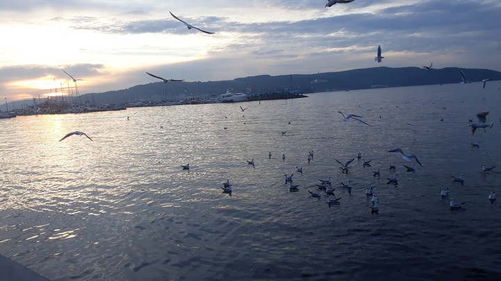Onu yokluğunda buldum