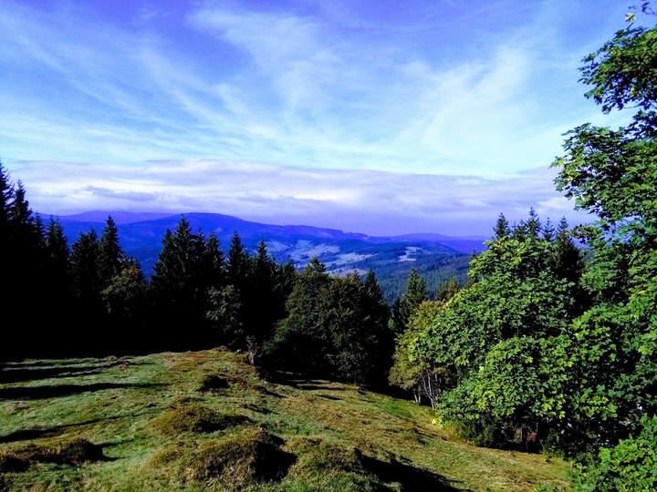 View