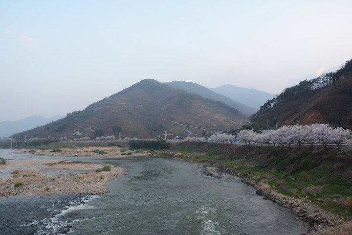 구례의봄이미지