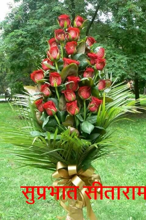 india friend sent me@ dear friend's#now my 2leg's  Allergy