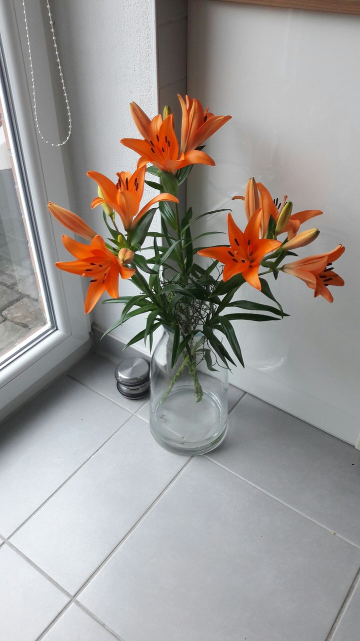 flower
