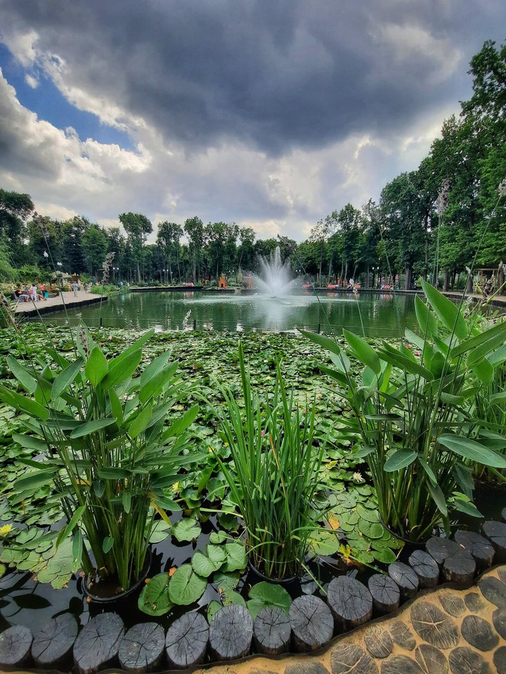 park