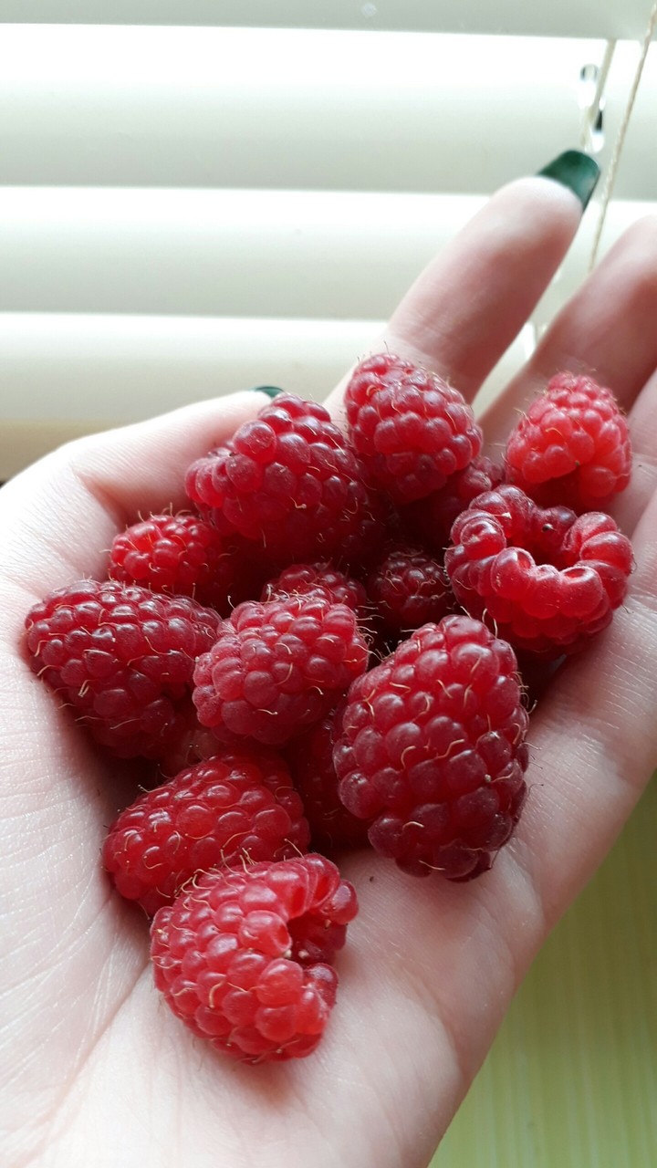 Berry