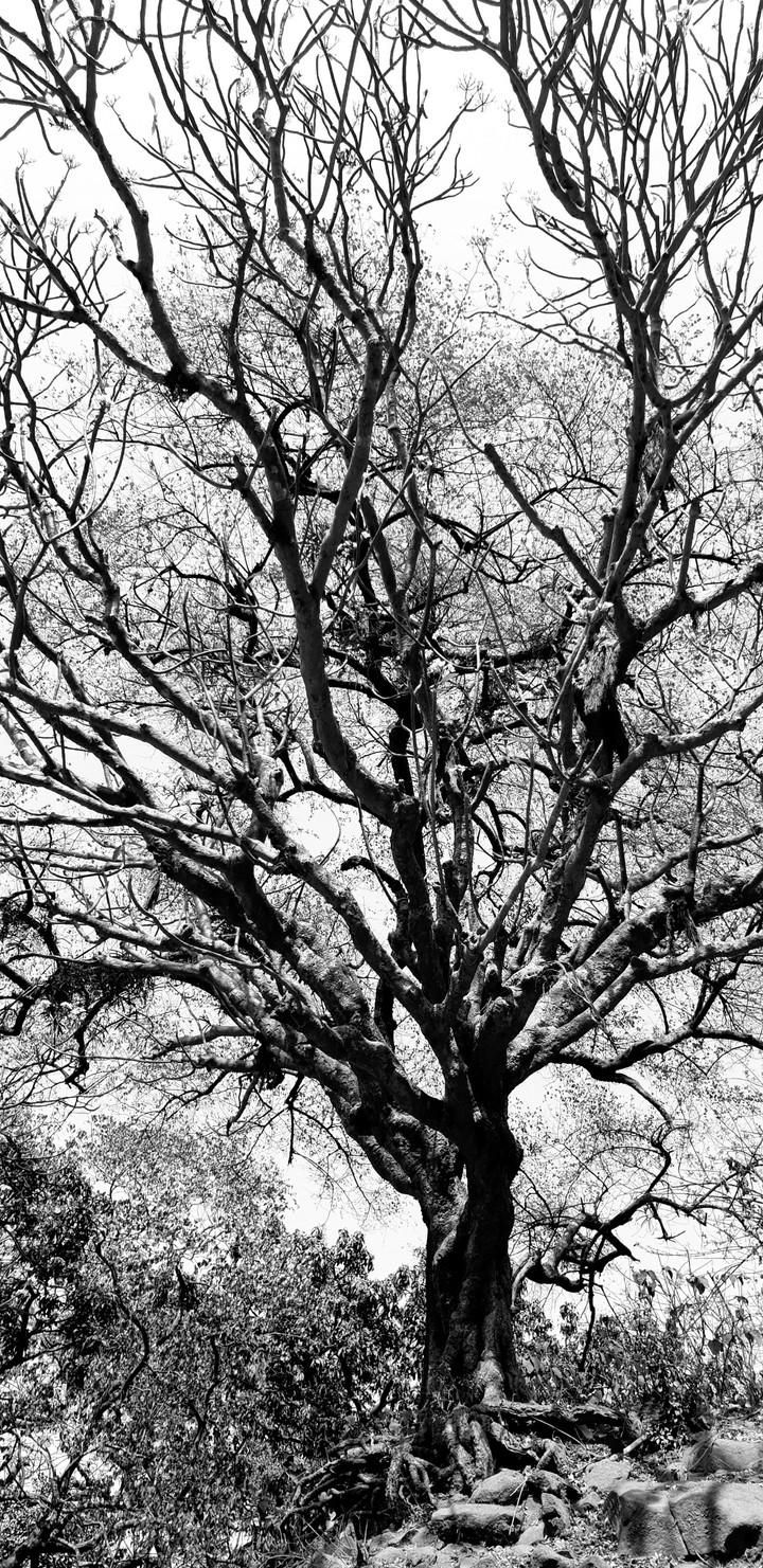life without soul