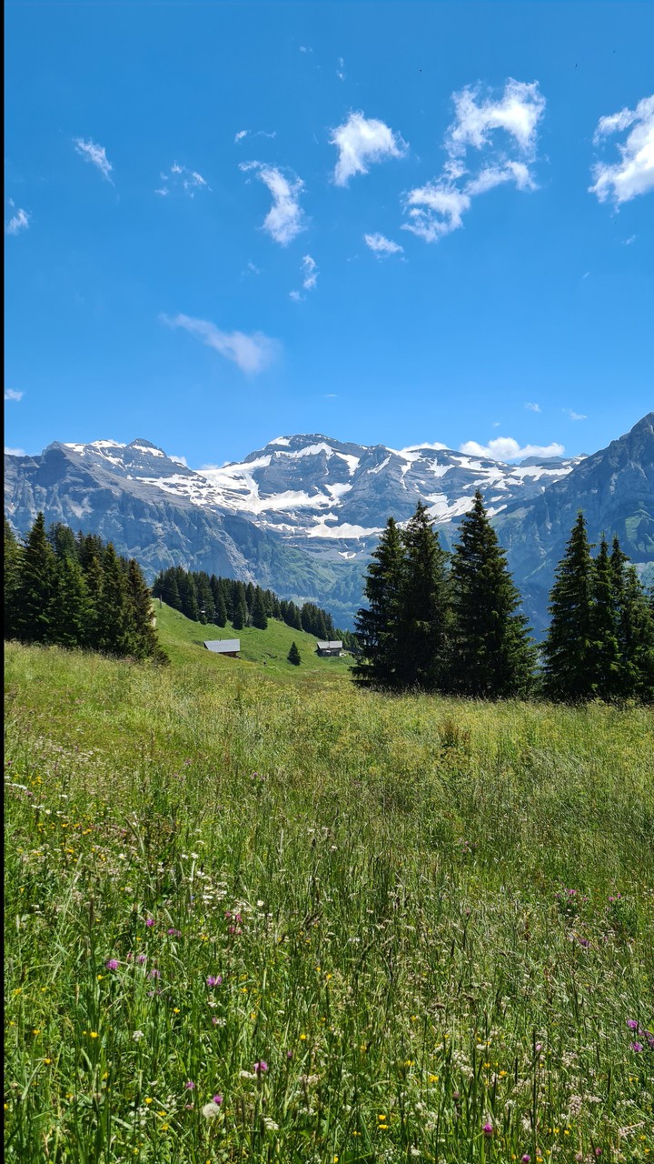 Snowy mountains