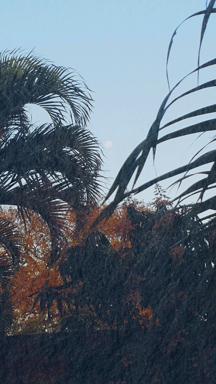 la luna.