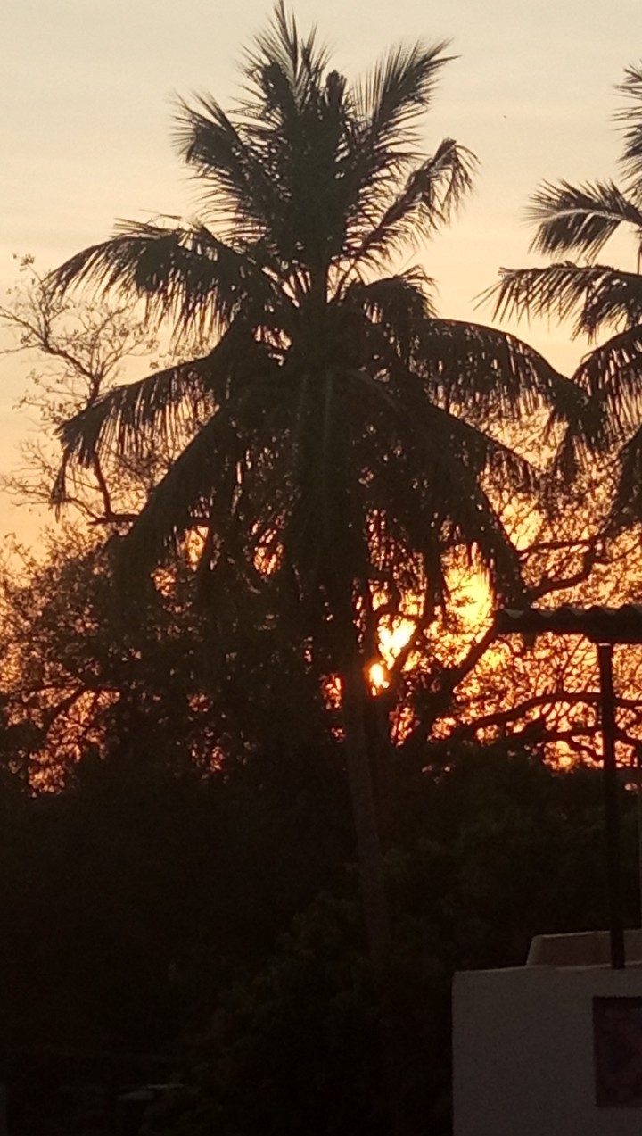 Nature