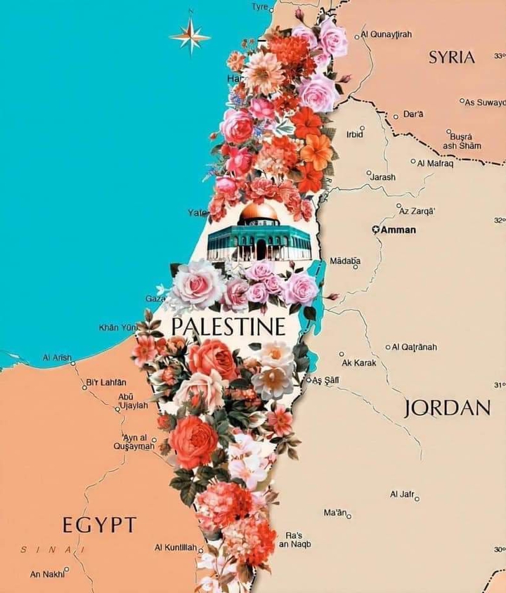 #Free Palestine
