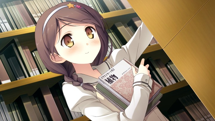 Visual Novel: Your Diary