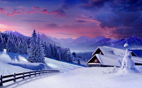 #snowfall #heaven on plant