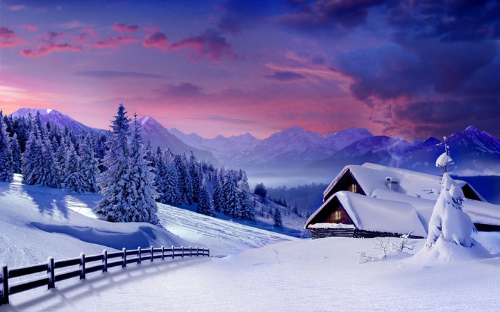 #snowfall #heaven on plant