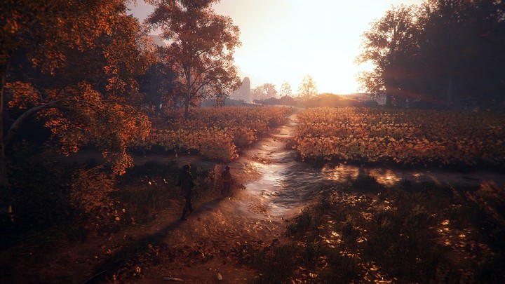 A Plague Tale Innocence WALLPAPER