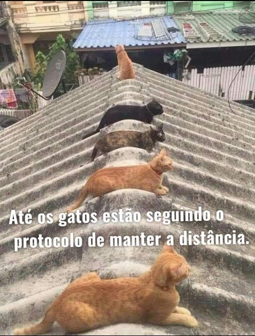 isso ai