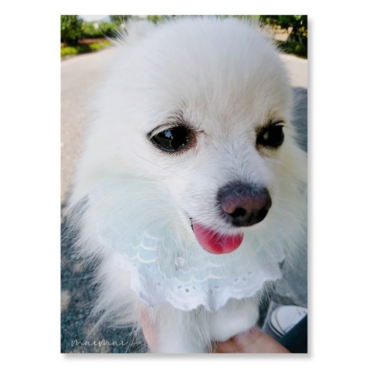 ❤ฅ●ω●ฅ❤