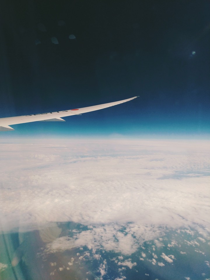 Fly