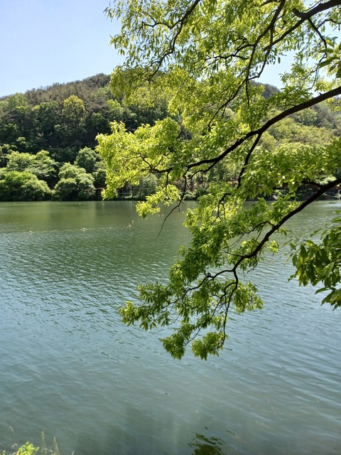 hình nền landscapes, landscape