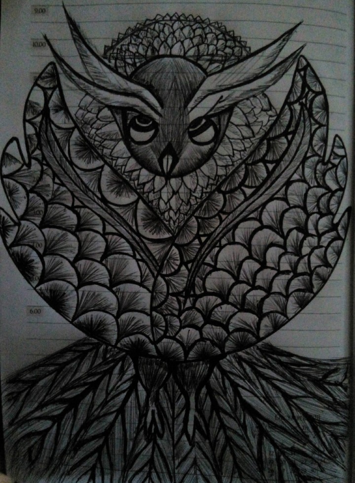 owl