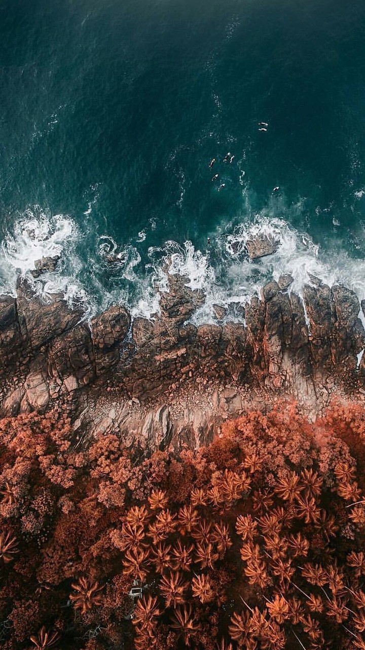 where the sea meets with earth