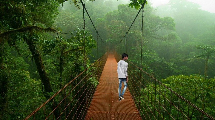 sonu