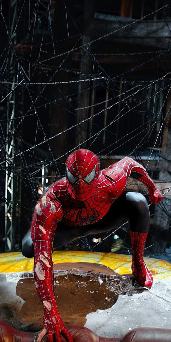 spider