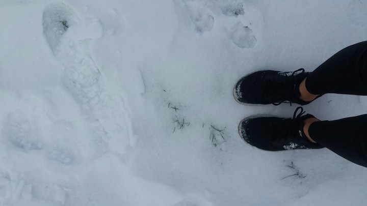 Snow Feet