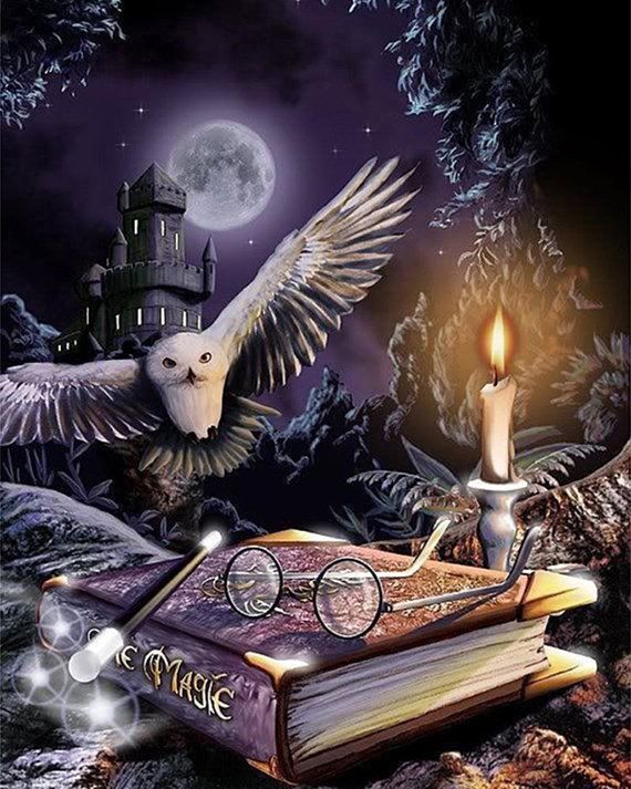 Harry Potter