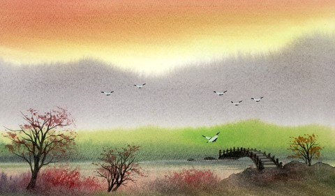 Illustration and Painting