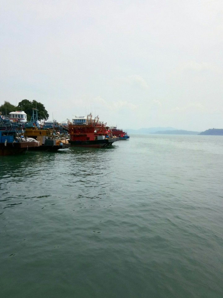 Sea Sight